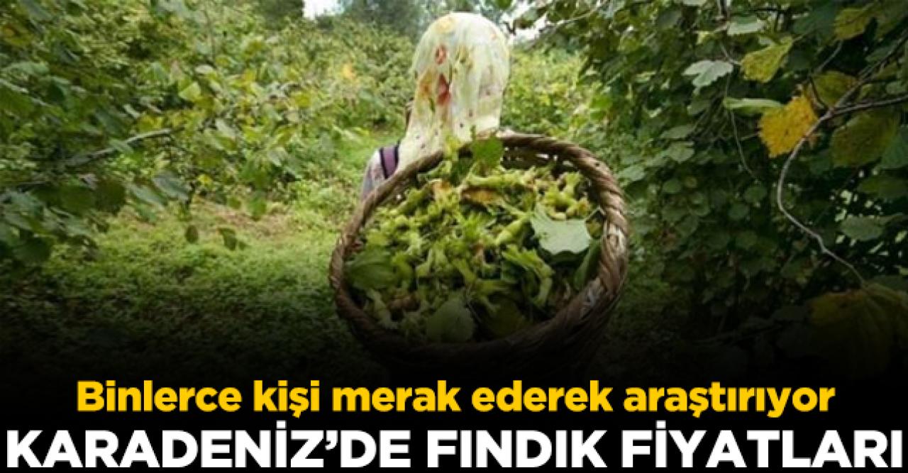 Fındık fiyatları ne kadar? 09 Aralık Çarşamba il il güncel fındık fiyatları - Fındık Fiyatları haber