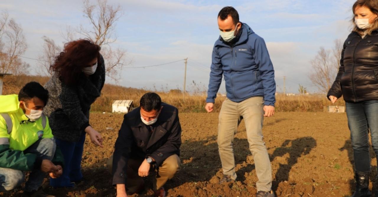 Büyükçekmece’de tarım seferberliği sürüyor