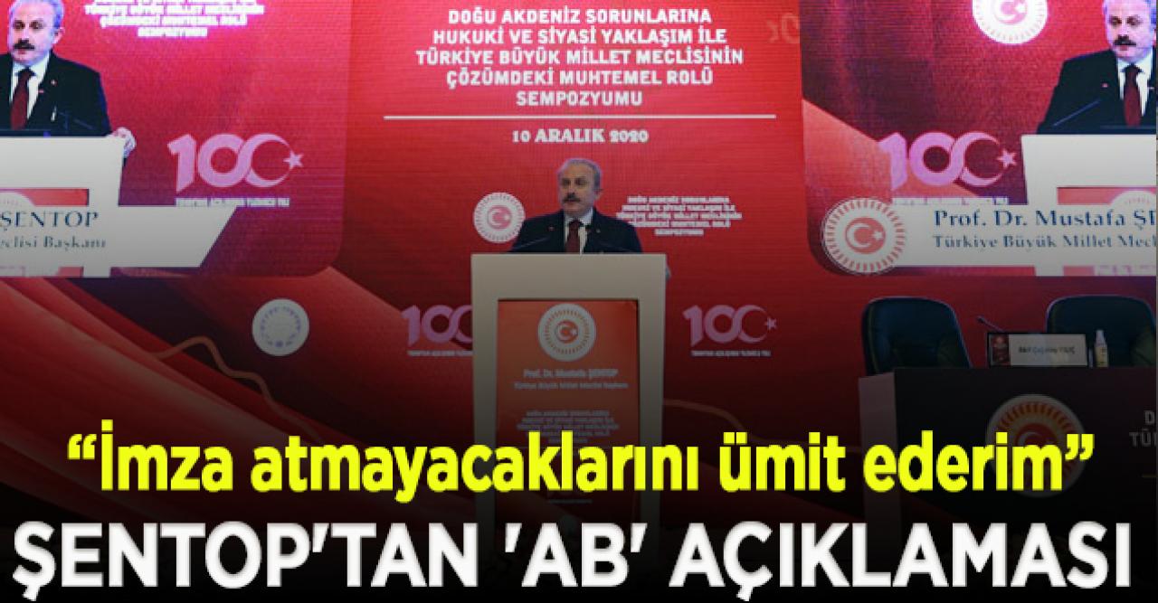 Şentop'tan 'AB' açıklaması: Bunalıma katkı yapacak kararlara imza atmayacaklarını ümit ederim