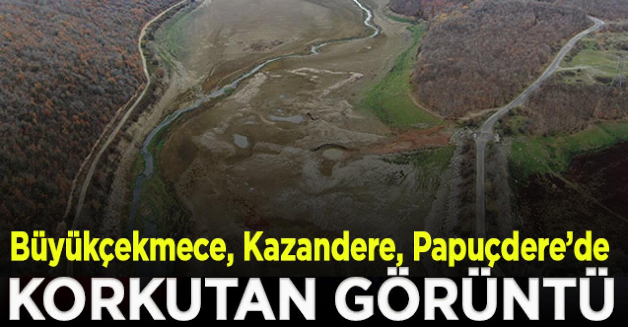 Büyükçekmece, Kazandere ve Papuçdere barajlarında korkutan görüntü; Artık koyunlar otluyor