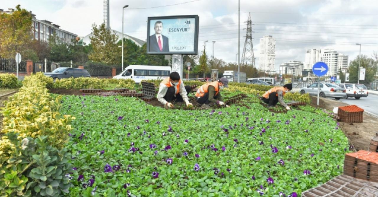 Esenyurt'ta ağaçlandırma çalışmaları devam ediyor