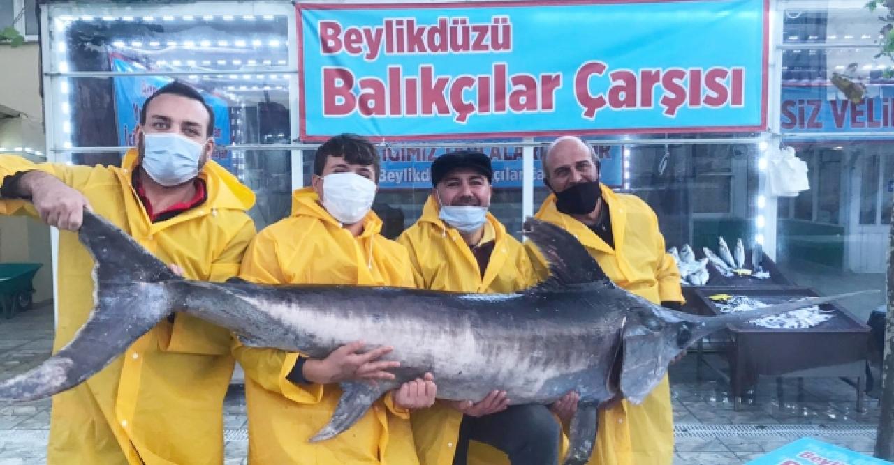 Beylikdüzü'nde artık balık var