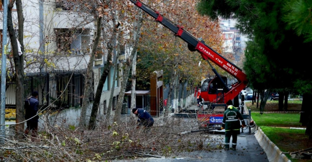 Bağcılar’da ağaçlara kış bakımı yapılıyor