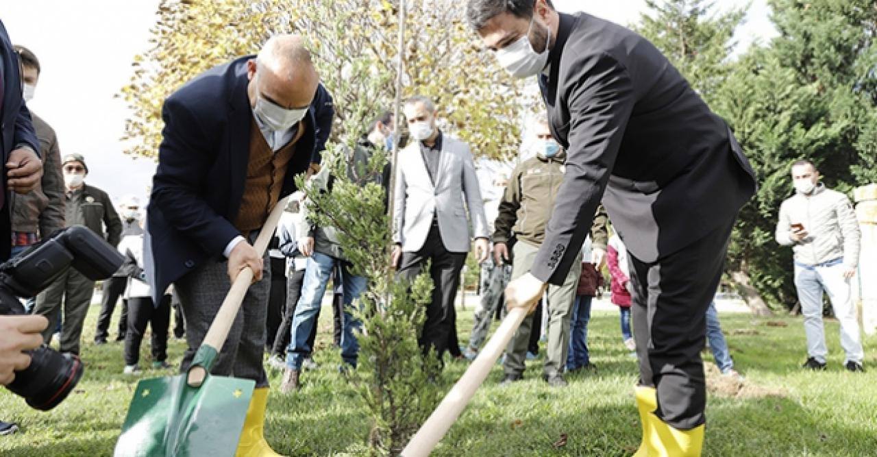 2020 yılında Kağıthane’ye bin 531 ağaç dikildi