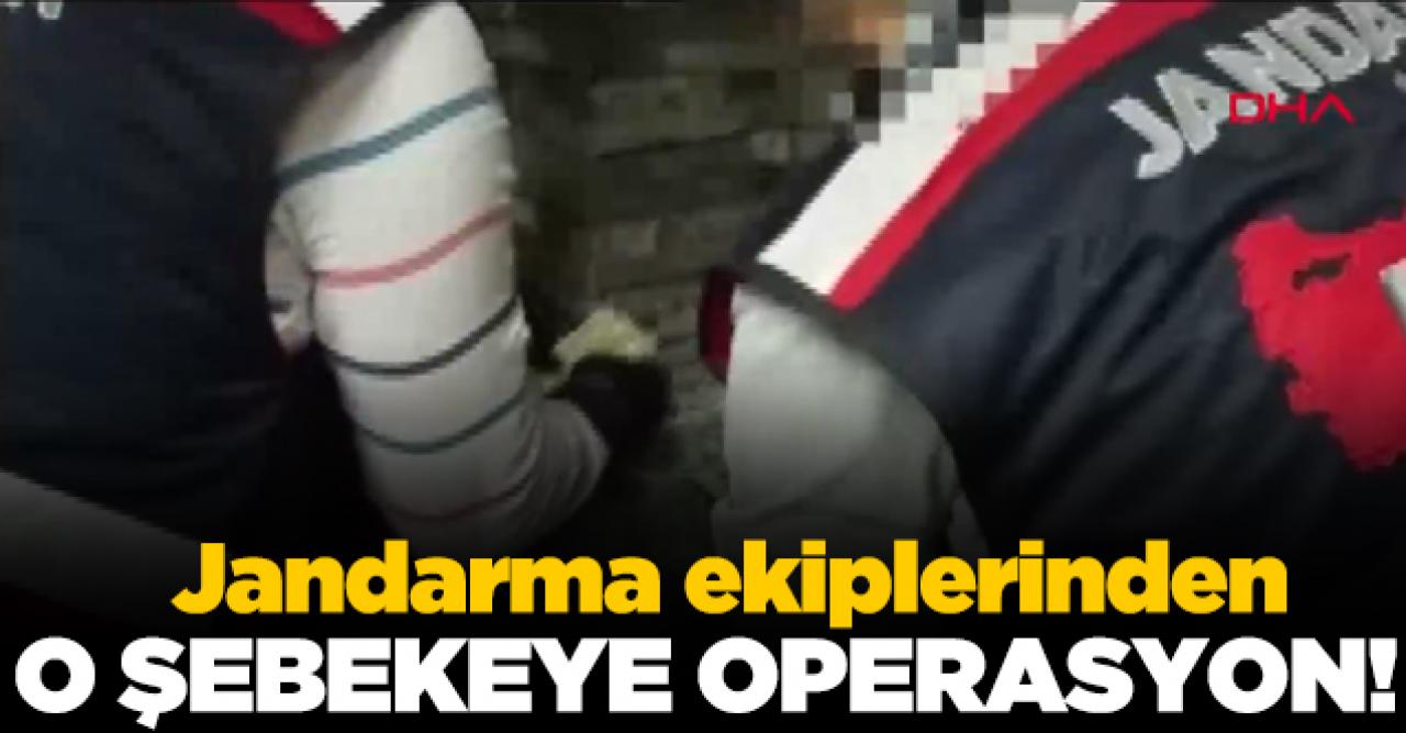 Jandarma ekiplerinden uluslar arası şebekeye operasyon