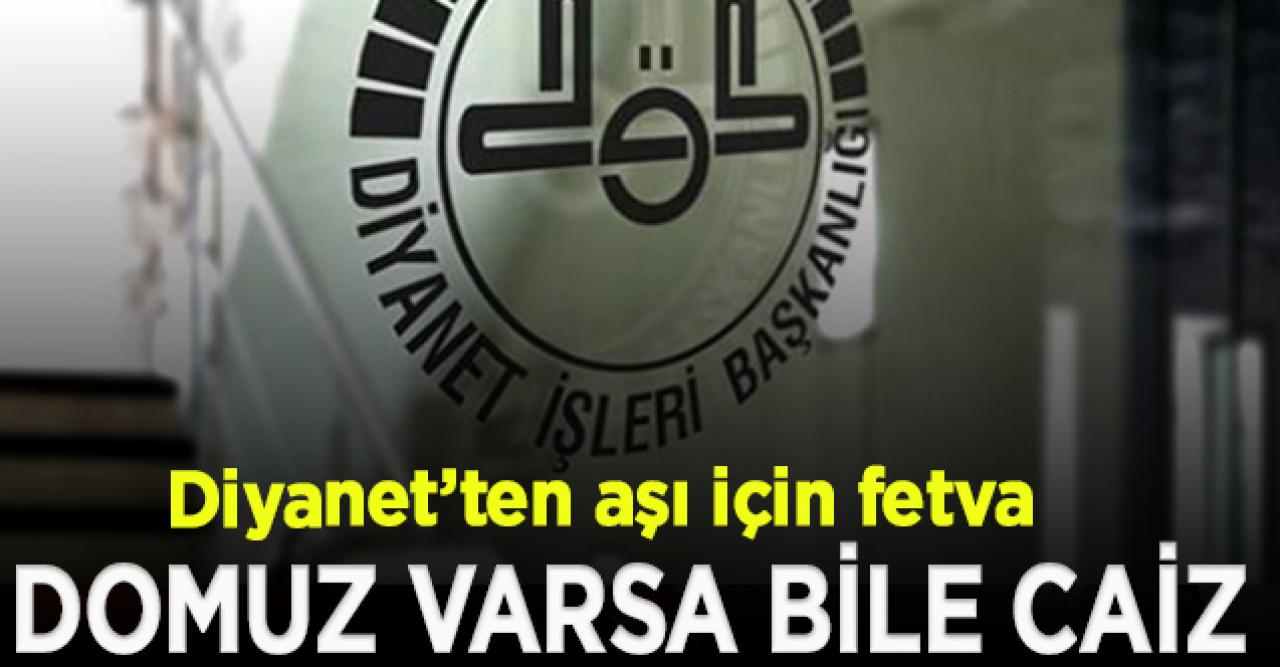 Diyanet duyurdu; " Aşıda domuz proteini varsa bile caizdir"