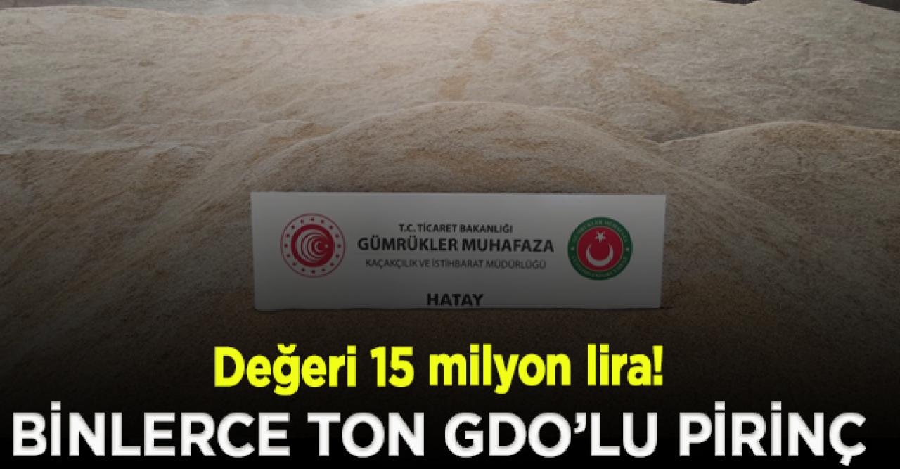 Binlerce ton genetiği değiştirilmiş pirinç ele geçirildi