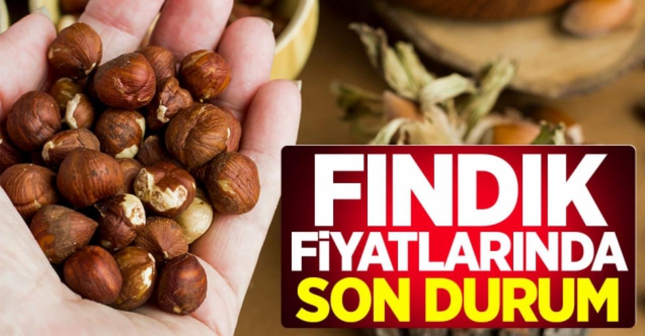 4 Ocak Pazartesi güncel fındık fiyatları | Fındık kaç lira?