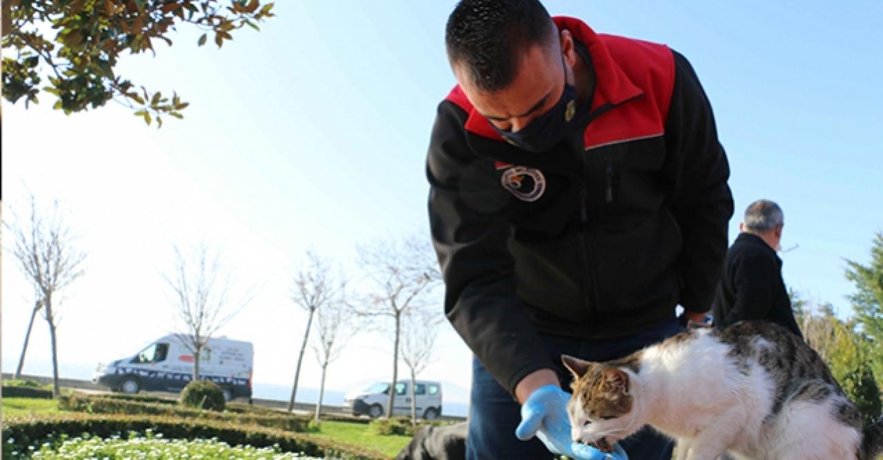 Kartal Belediyesi, 4 günlük kısıtlamada sokak hayvanlarını unutmadı