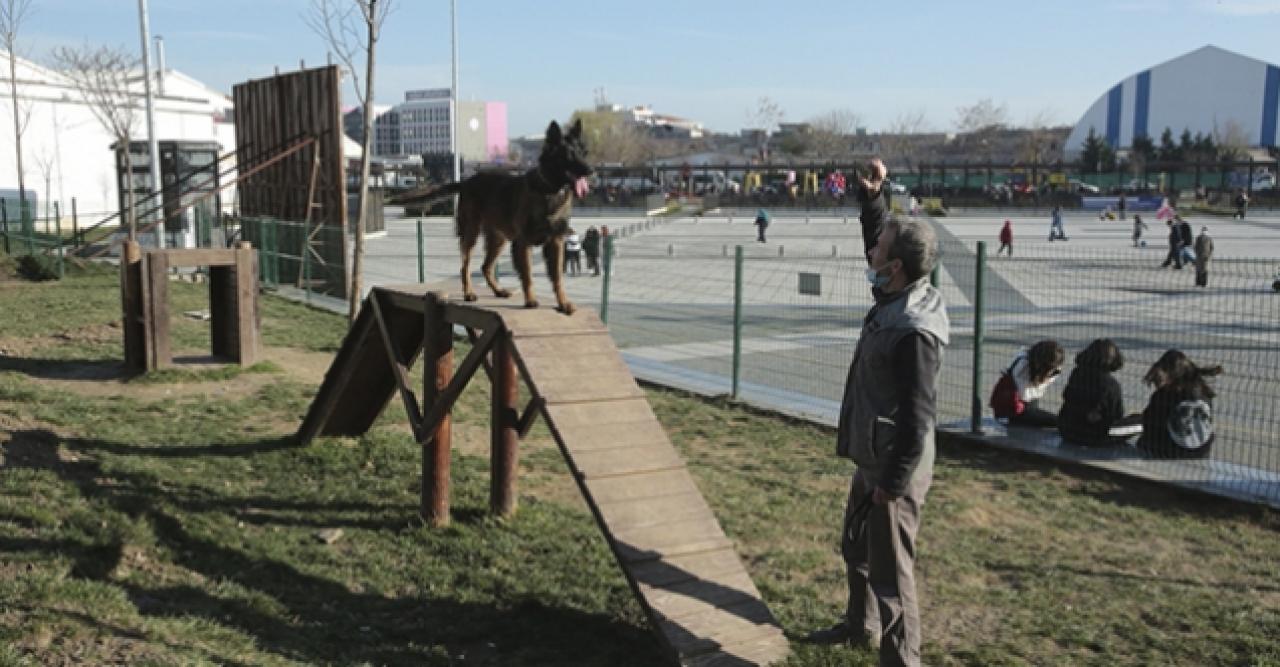 Küçükçekmece’de köpeklere özel ‘pati park’