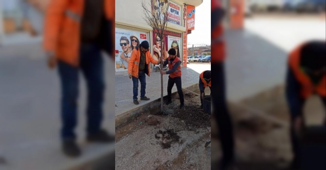 Semaverde çay yapmak için ağaç kestiler! O anlar kameralara yansıdı