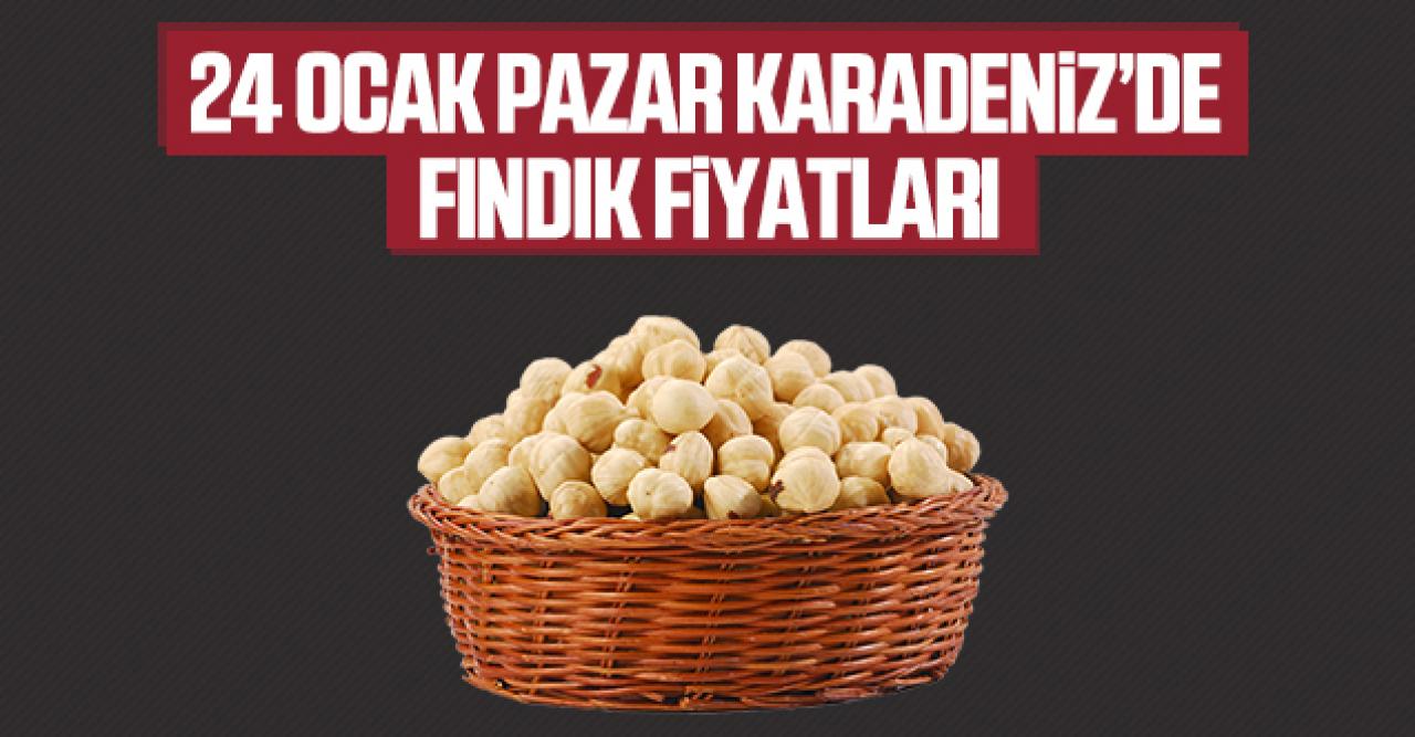 24 Ocak Pazar fındık fiyatları | Fındık kaç lira?