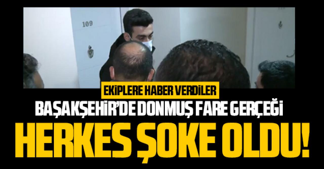 Başakşehir'de donmuş fare gerçeği şoke etti!