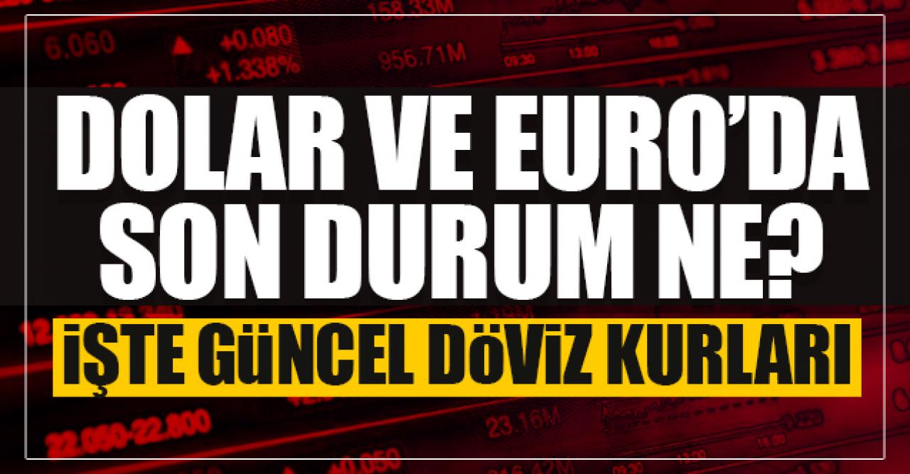 28 Ocak Perşembe dolar ve euro kaç lira? Döviz fiyatlarında son durum