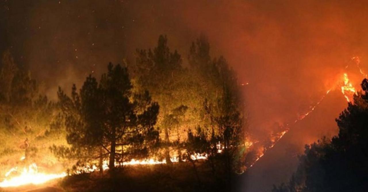 Kastamonu’da yangın paniği