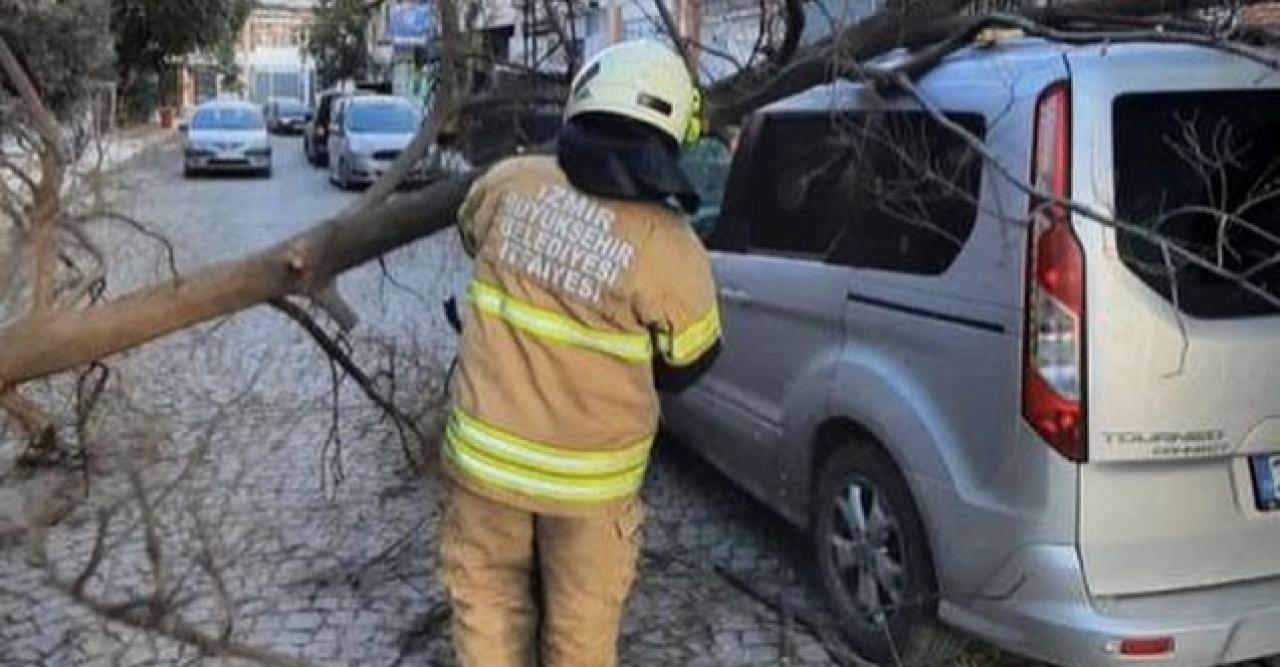 İzmir'de yine fırtına etkili oldu; ağaçlar devrildi, çatılar uçtu