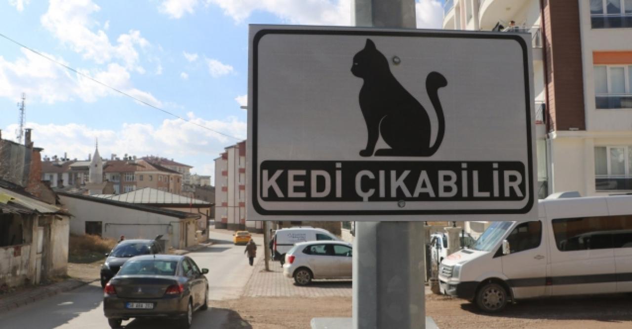 Belediyeden "kedi çıkabilir" tabelası