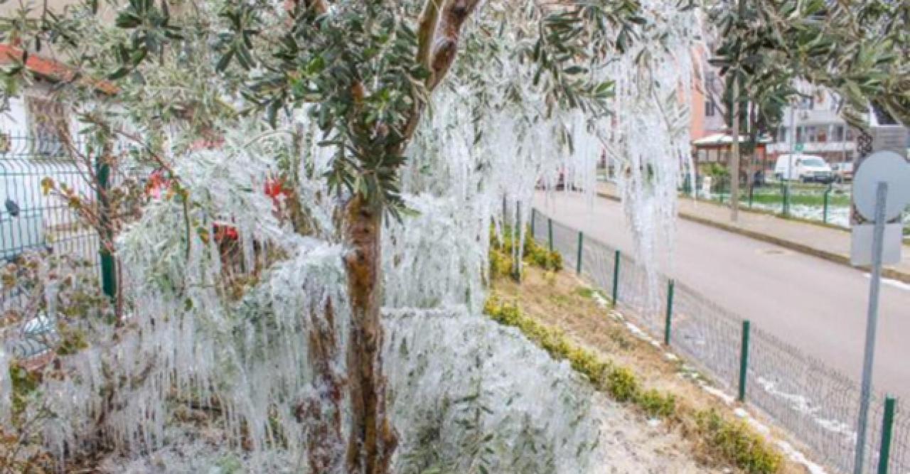 Hortumundan fışkıran su, ağaçlarda sarkıt oluşturdu