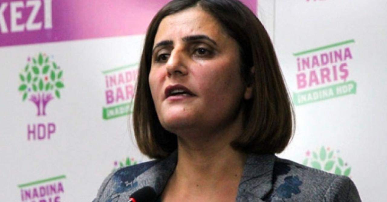 HDP'li Taşdemir: Yalan ve iftira atmak bir bakanın işi olmamalı, Gare'ye gitmedim