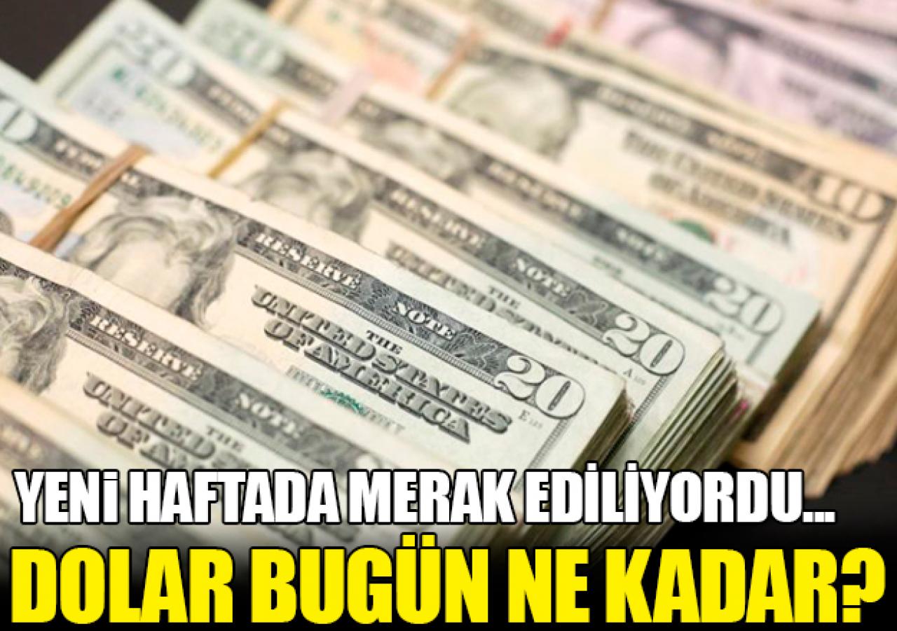 Yeni haftada dolar ve euro nasıl başladı? 28 Mayıs alış ve satış fiyatları