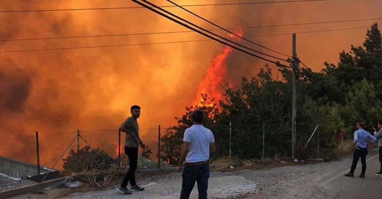 Hatay'da 'Ormanları yakın' talimatı veren terörist etkisiz hale getirildi