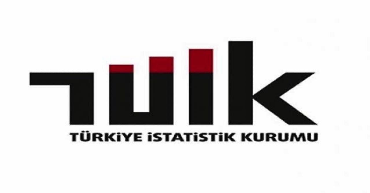 TÜİK: Yapı ruhsatı verilen bina sayısı bir yılda yüzde 69 arttı