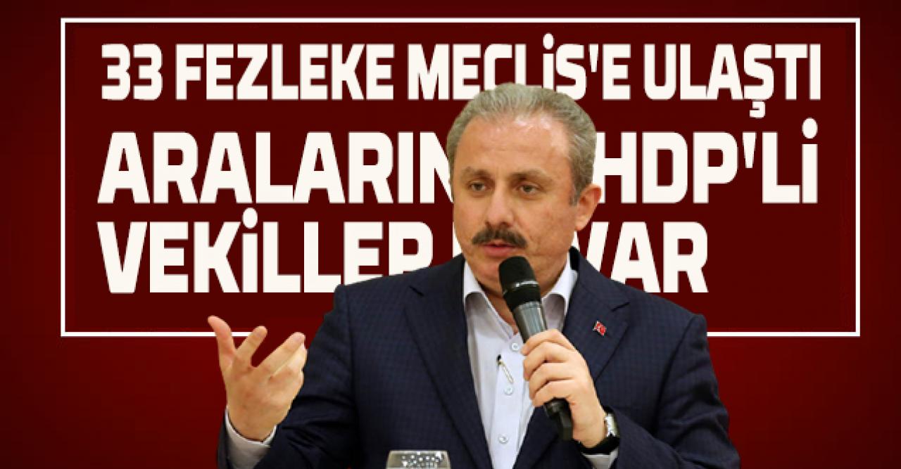 33 fezleke Meclis'e ulaştı, içinde HDP'li milletvekilleri de var