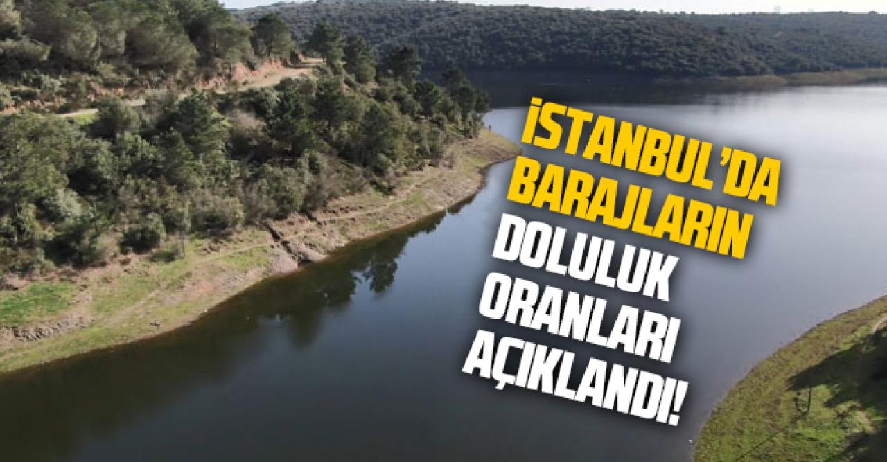 İstanbul'daki barajların doluluk oranları açıklandı