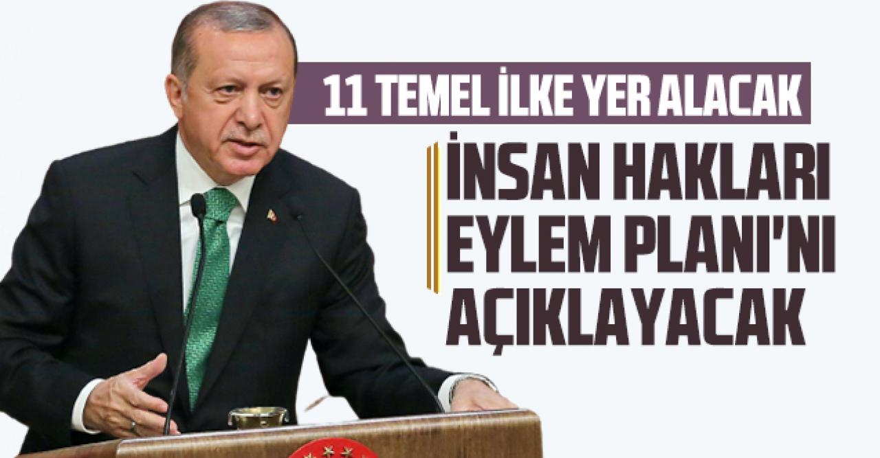 Cumhurbaşkanı Erdoğan, yarın İnsan Hakları Eylem Planı'nı açıklayacak