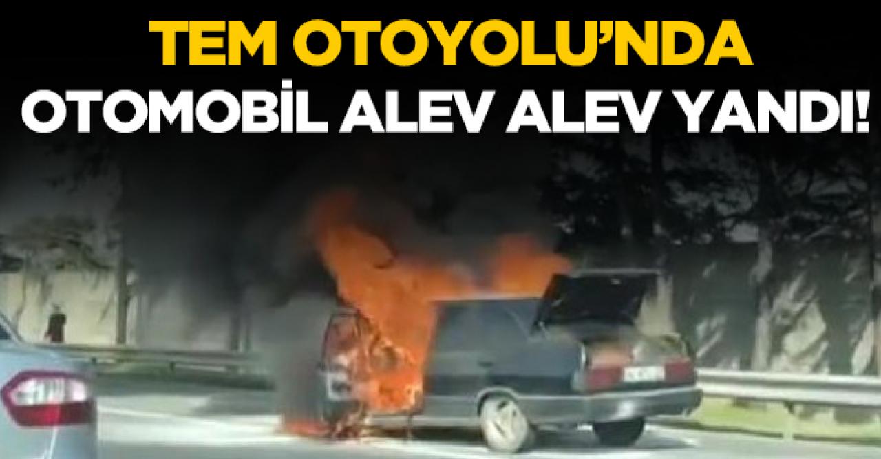 TEM Otoyolu'nda otomobil alev alev yandı!