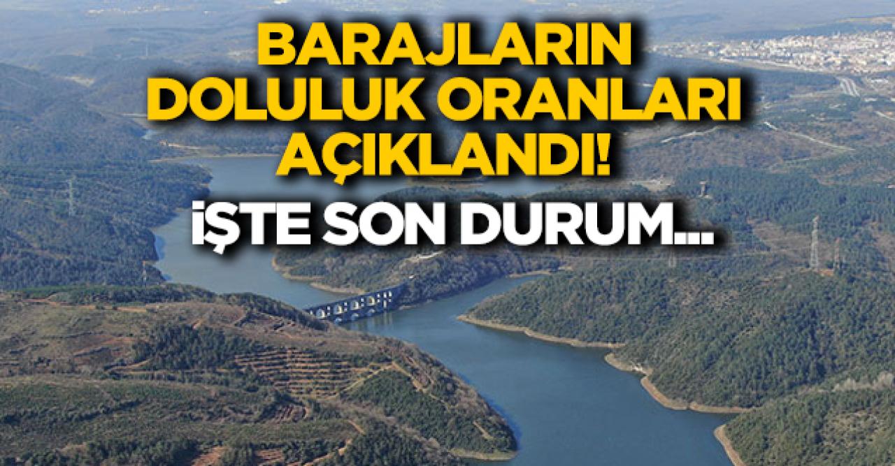 İstanbul'daki barajların son durumu açıklandı! İşte doluluk oranları...