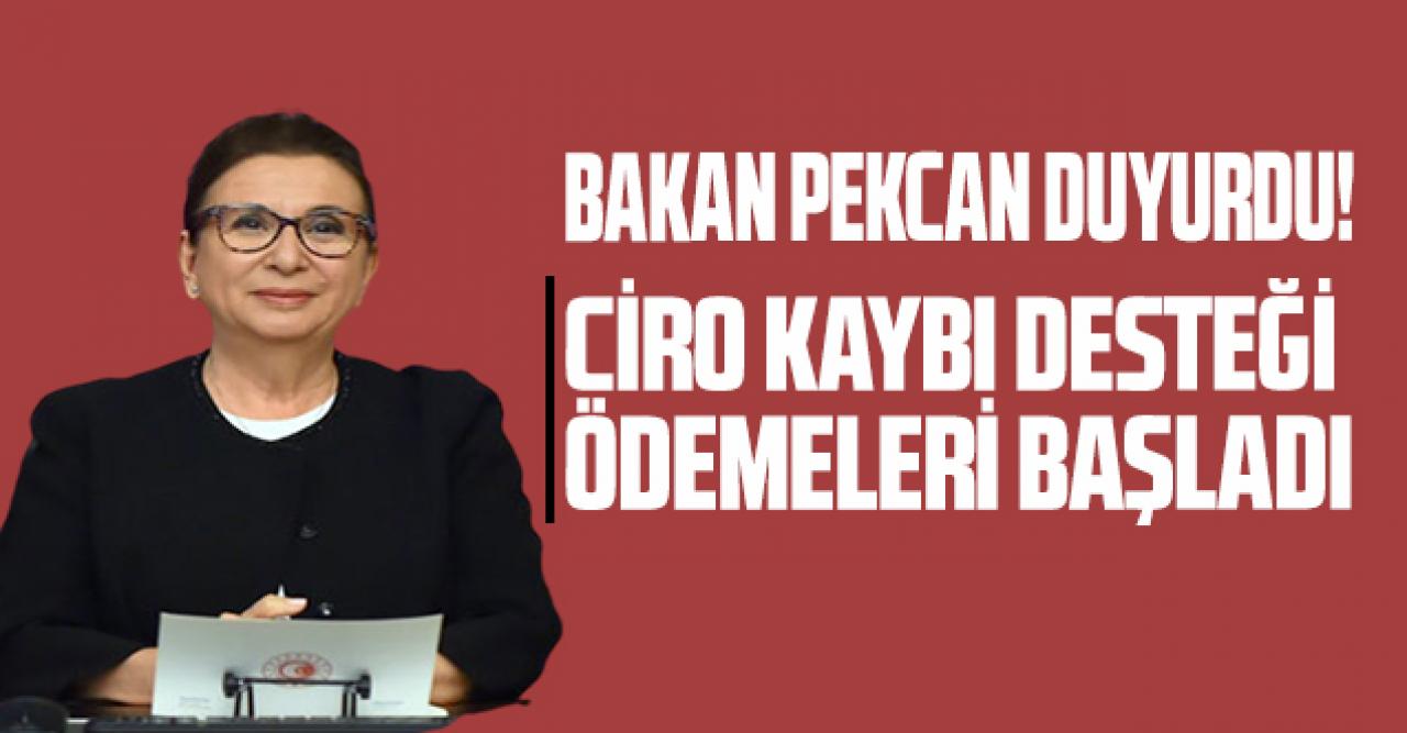 Bakan Pekcan duyurdu: Ödemeler başladı