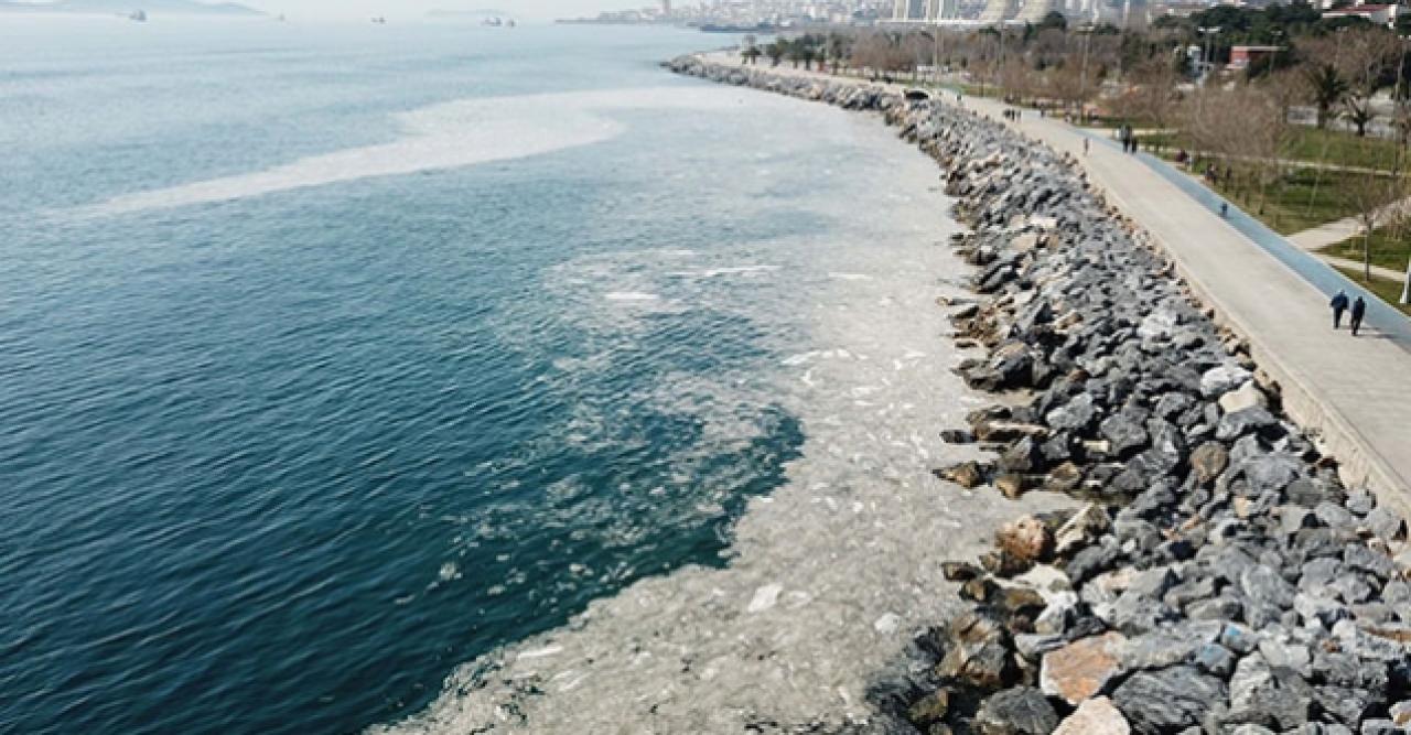 Pendik ve Kartal sahilindeki 'kirliliğin'' nedeni belli oldu