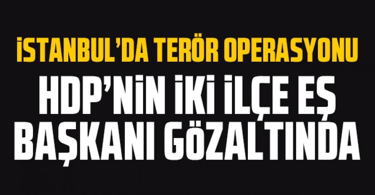 HDP Kağıthane ve Beşiktaş İlçe Eş Başkanları gözaltında