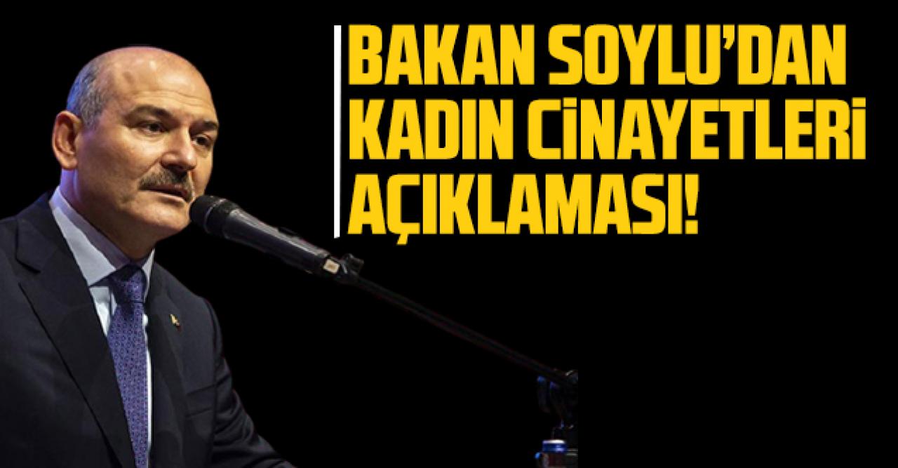 Bakan Soylu'dan 'kadın cinayetleri' açıklaması!