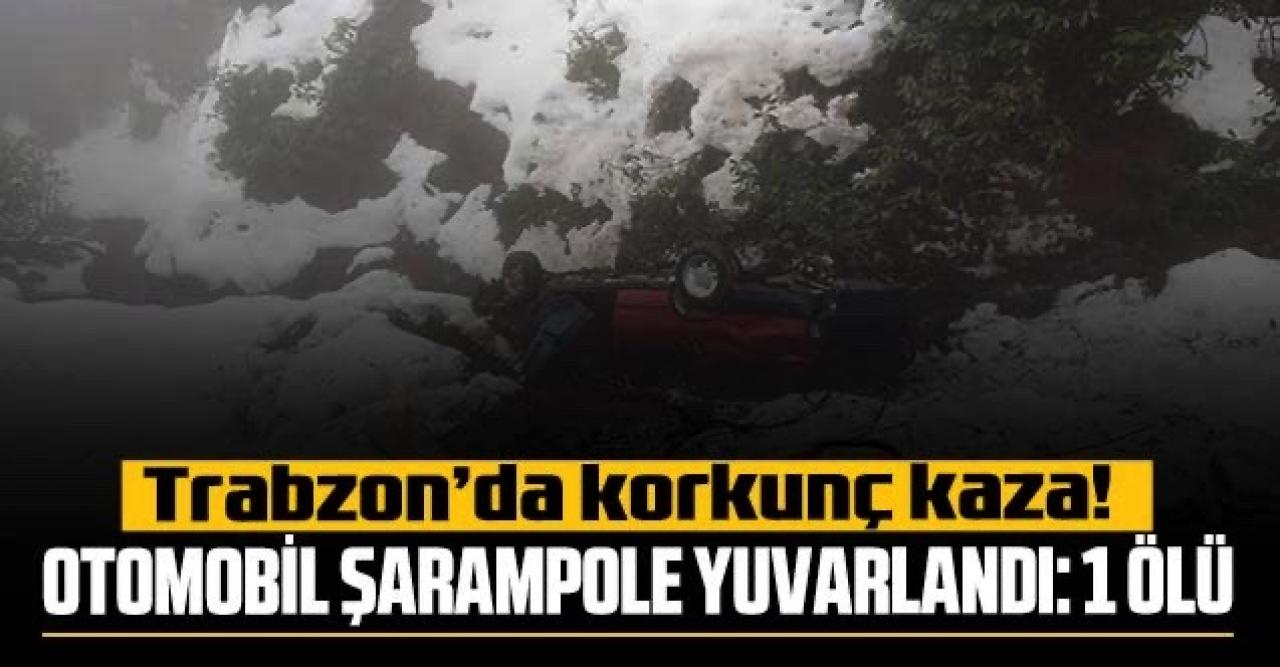 Otomobil şarampole yuvarlandı: 1 ölü