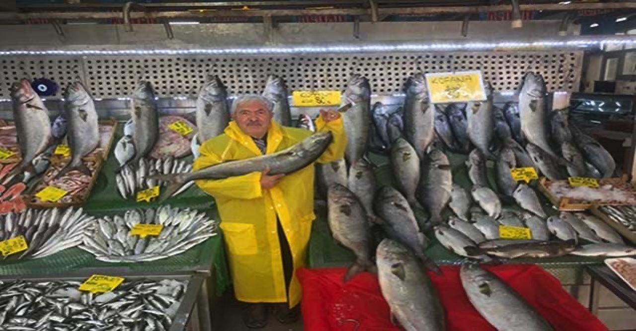 Denizlerde kofana bereketi: Ağırlığı 12 kiloya kadar çıktı