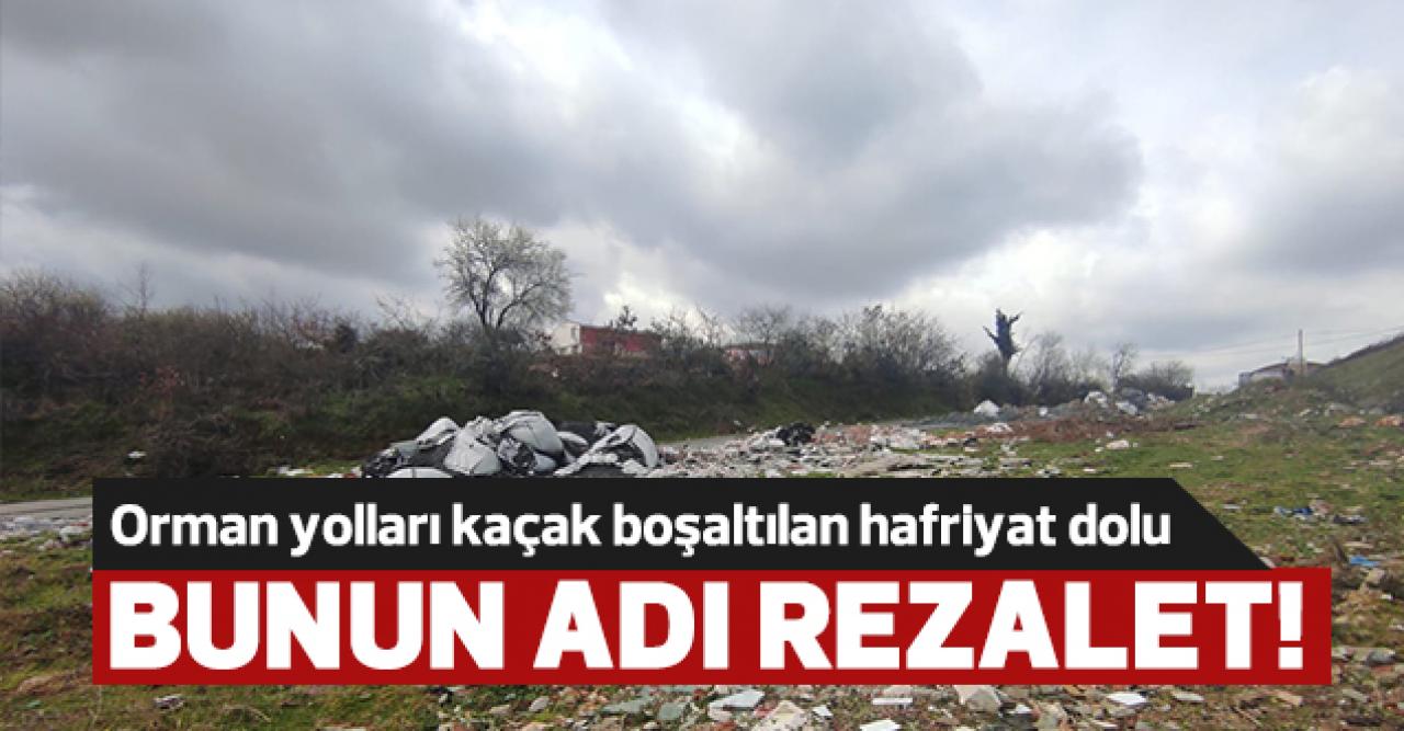 Bunun adı rezalet!