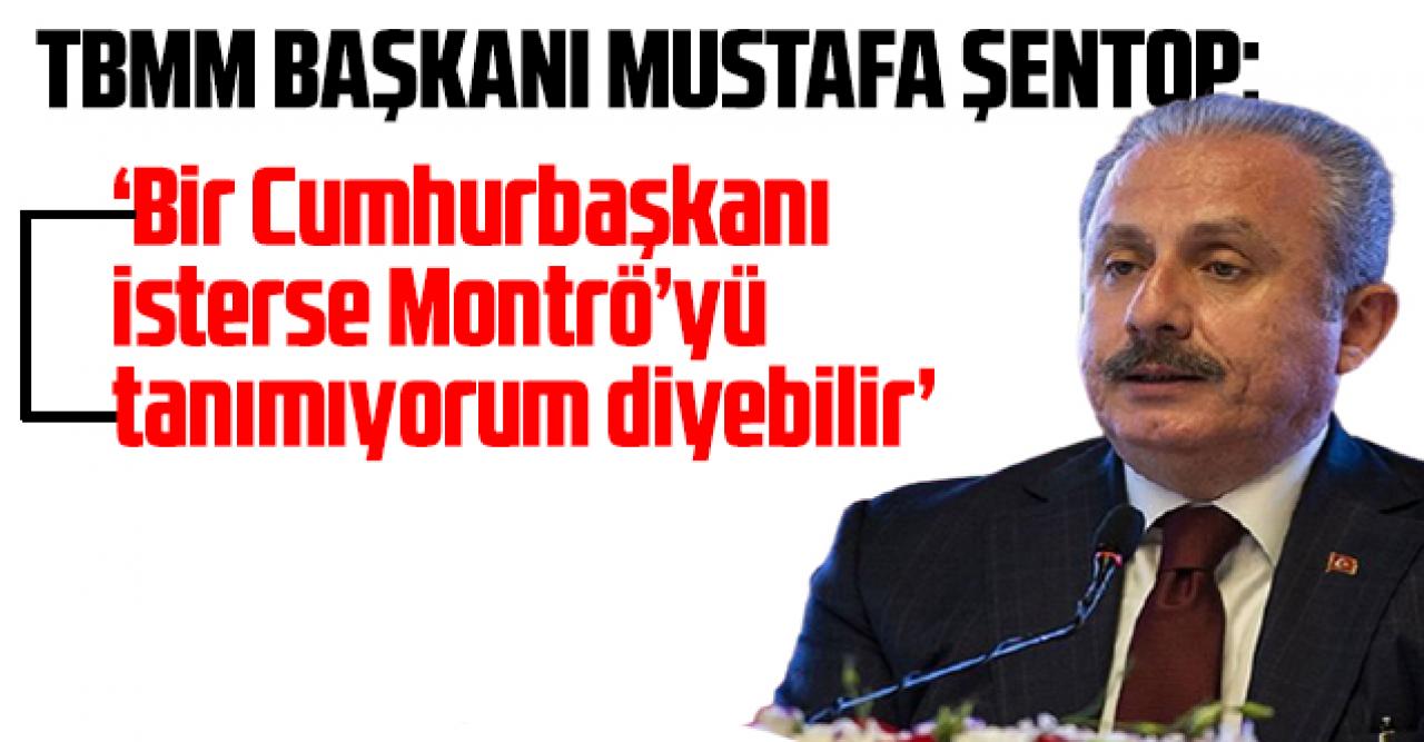 TBMM Başkanı Şentop: 'Teknik olarak Cumhurbaşkanı Montrö'yü tanımıyorum diyebilir'