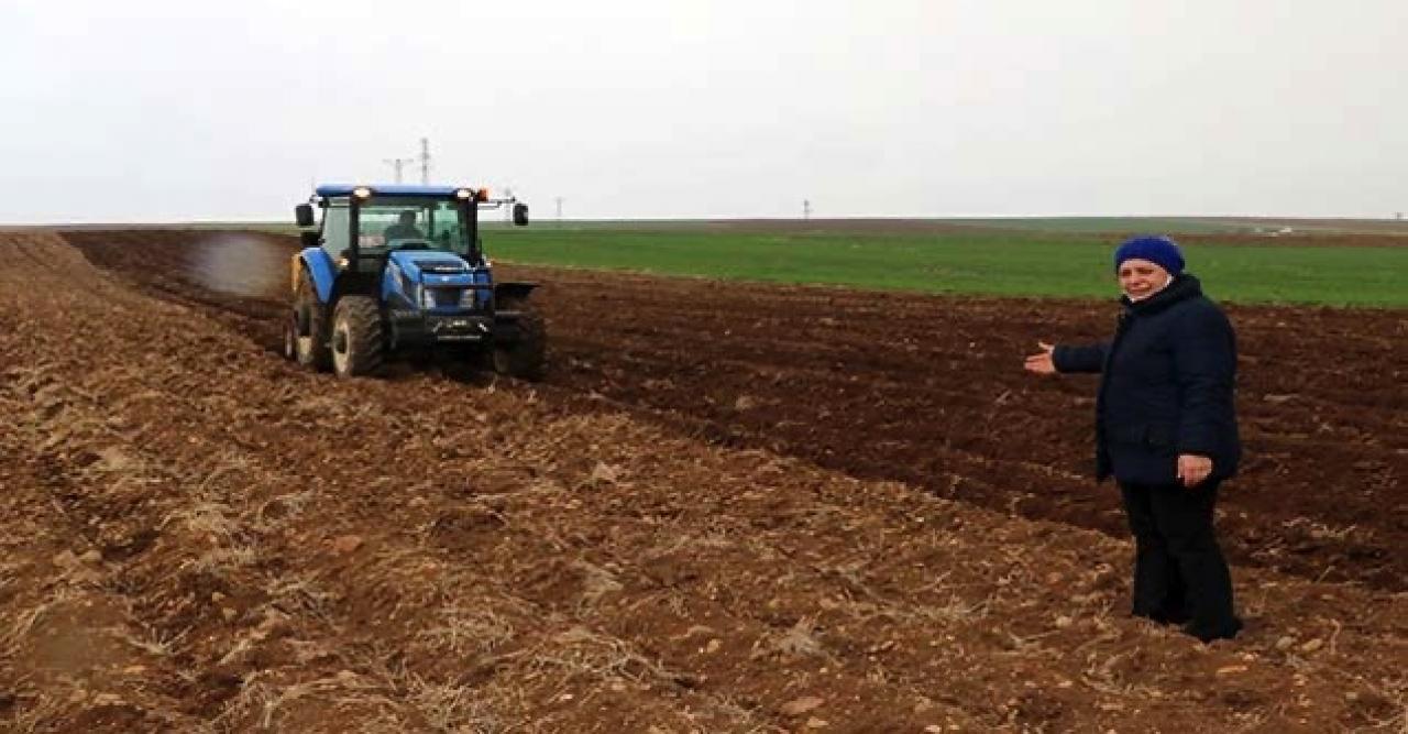 Patates üreticisi planlama istiyor