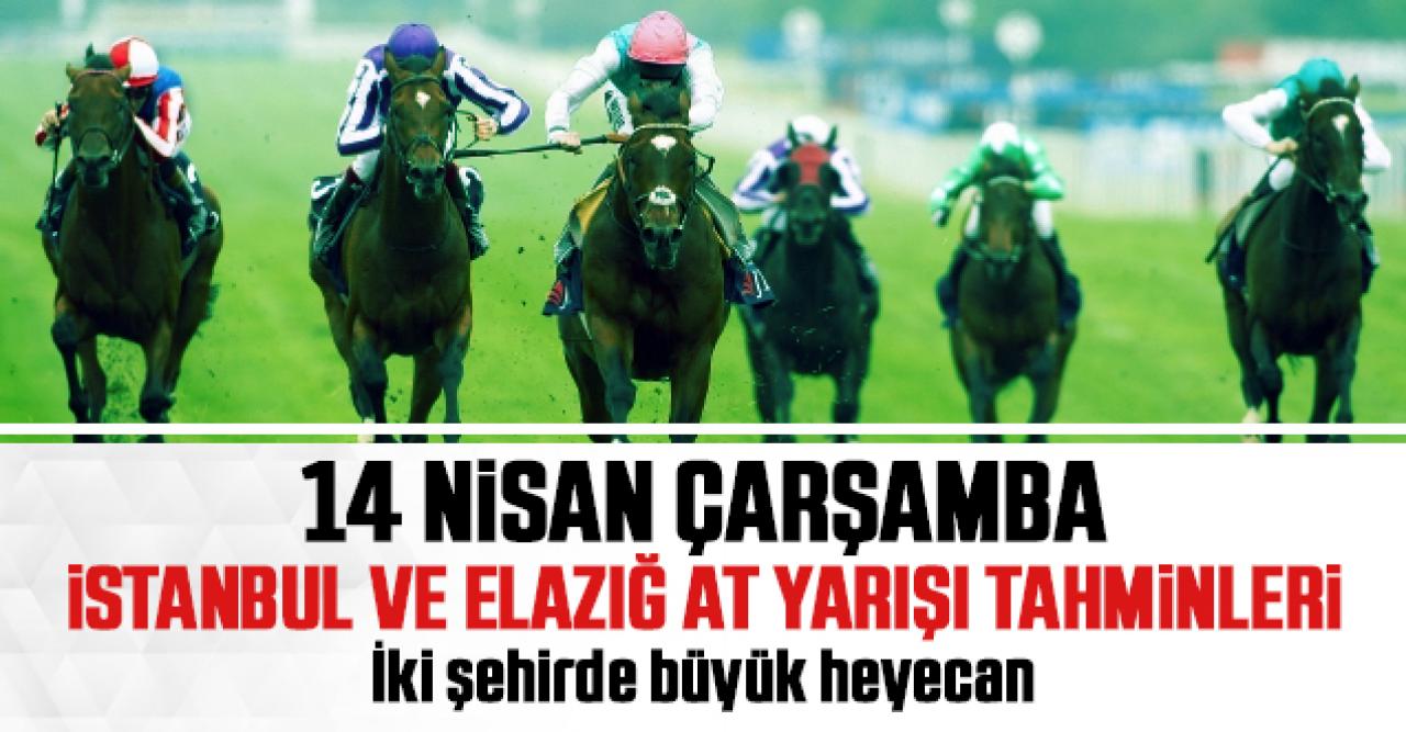 14 Nisan 2021 Çarşamba İstanbul ve Elazığ At Yarışı Tahminleri (izle)