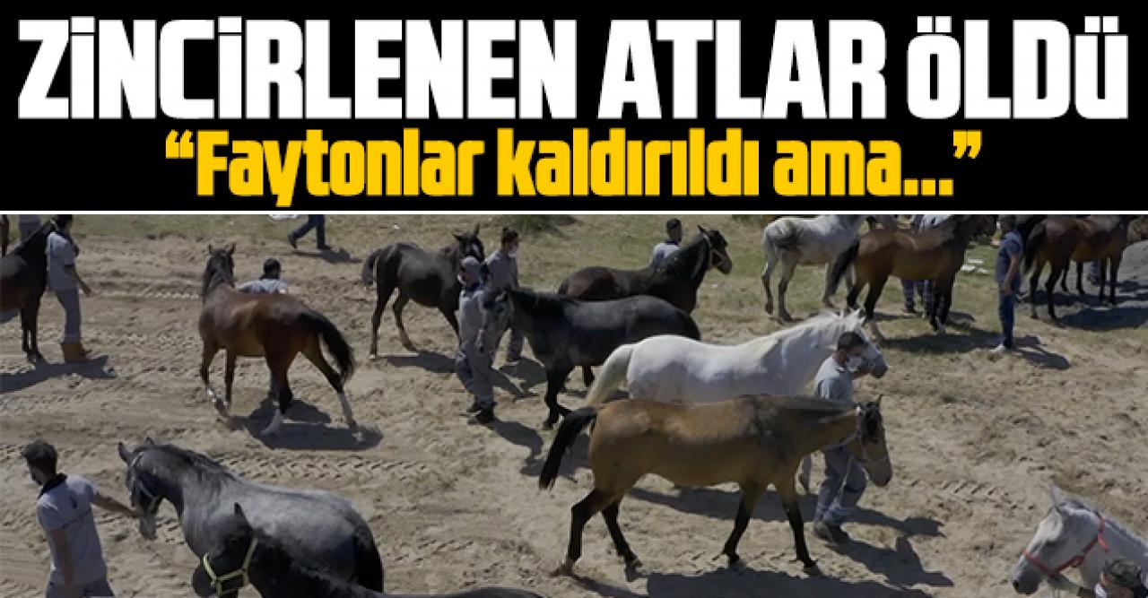 Zincirlenen atlar öldü!