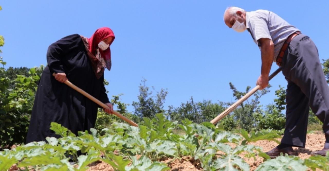 Beykoz'un önceliği tarım