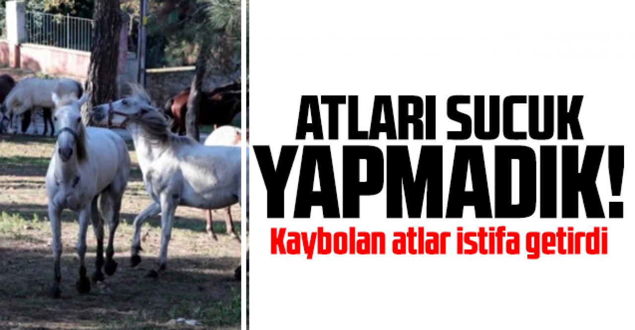 Atları sucuk yapmadık!