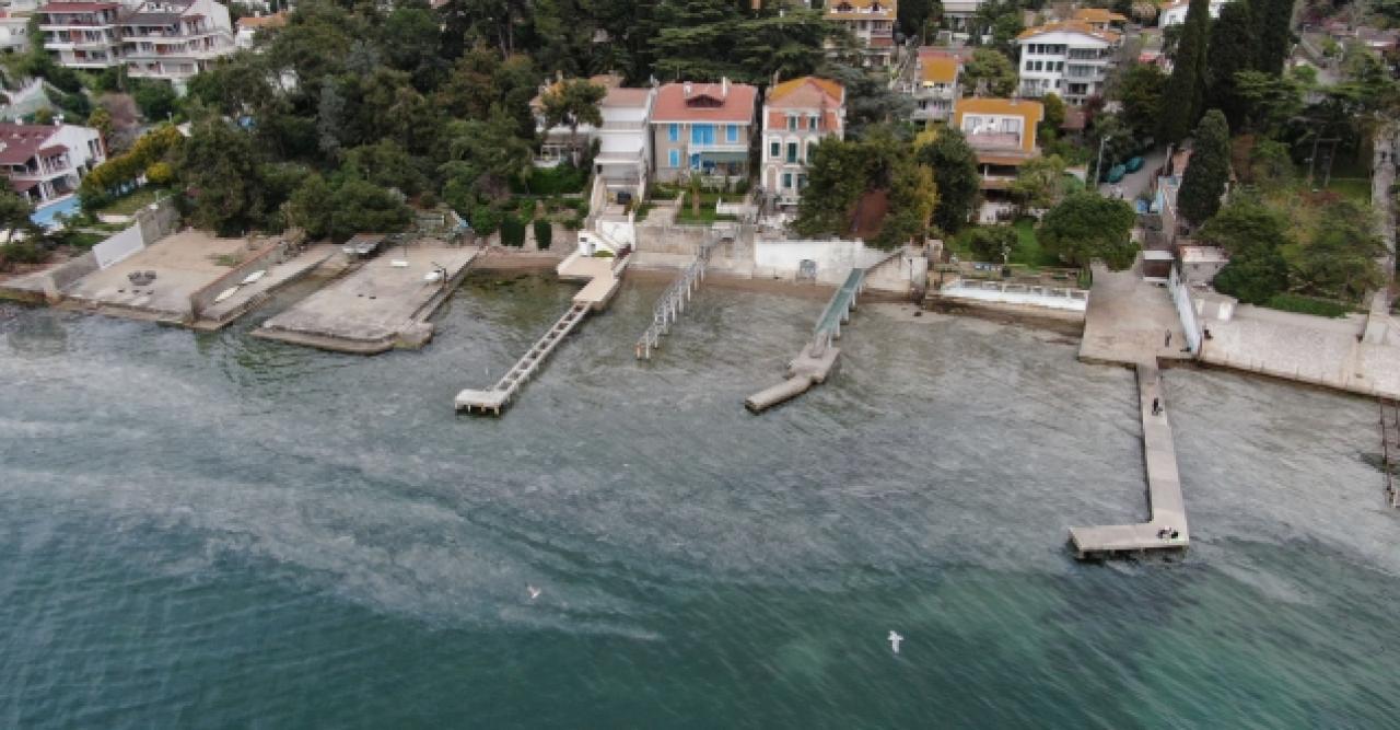 Büyükada'yı salya sardı