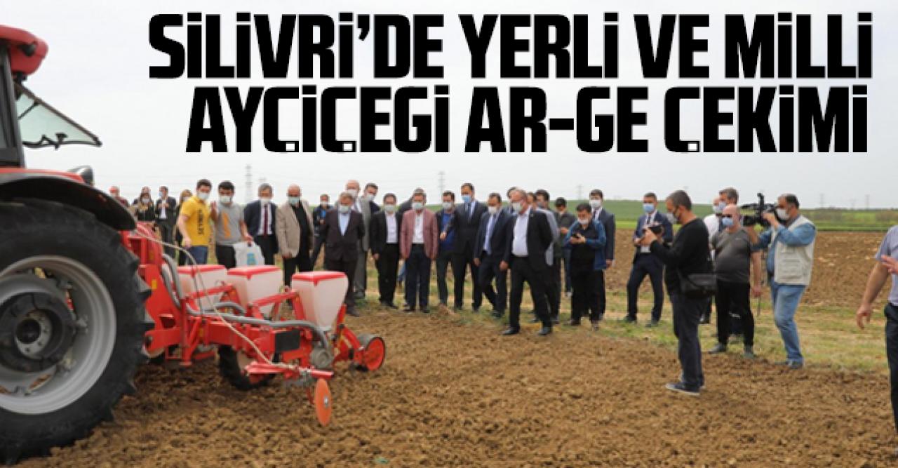 Silivri'de yerli ve milli ayçiçeği AR-GE çekimi