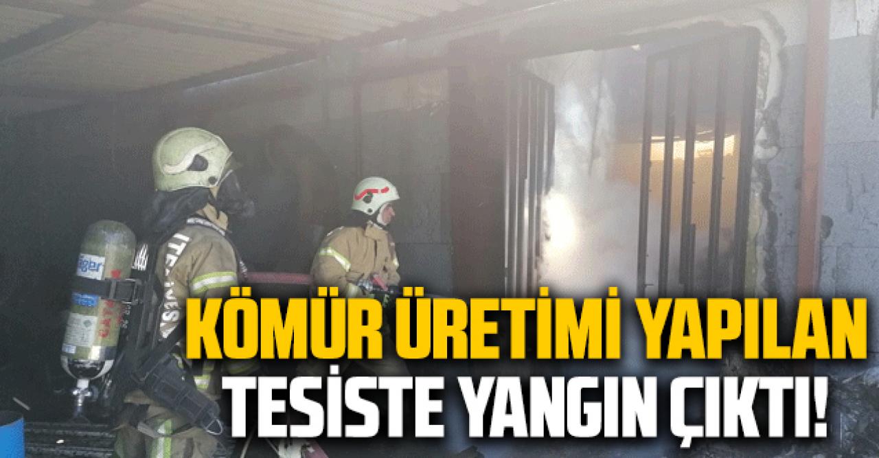 Silivri'deki mangal kömürü üretimi tesisinde yangın