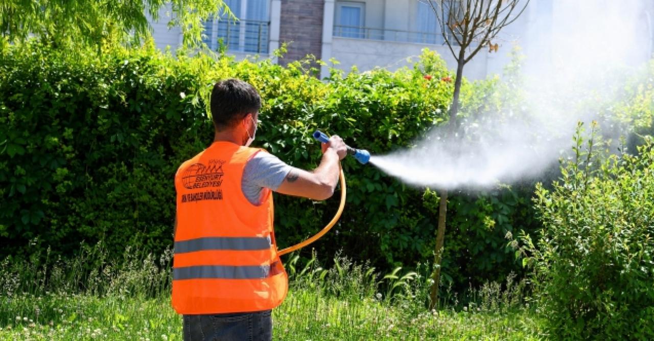 Böceklere savaş açıldı