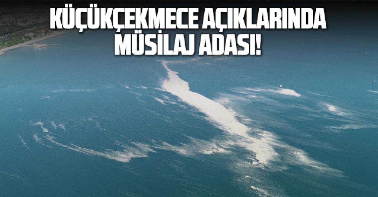 Küçükçekmece açıklarında müsilaj adası