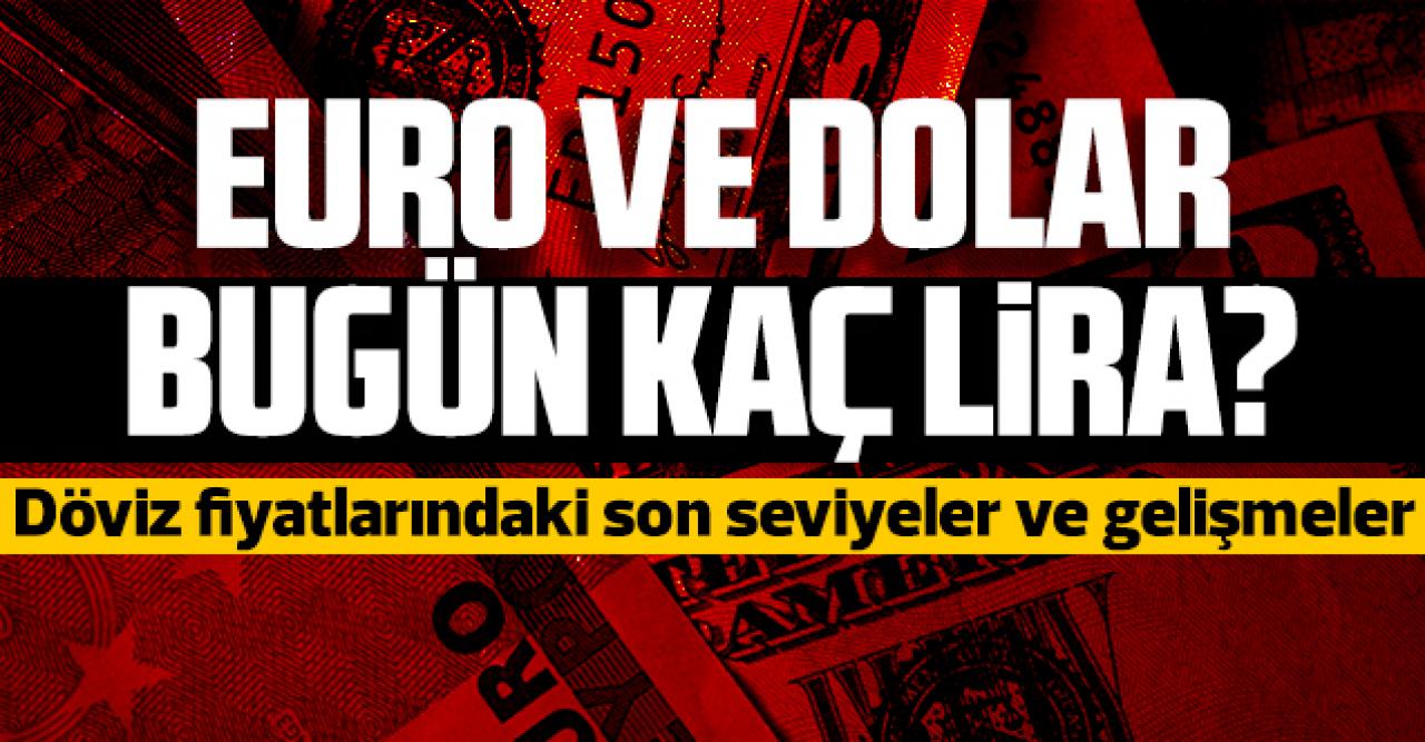 21 Haziran 2021 Pazartesi dolar ve euro fiyatları! Dolar/TL kaç lira? Euro/Tl kaç lira?